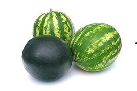 中山小榄吃瓜事件,一场网络热议背后的真相与反思