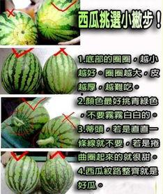 阿音吃瓜,揭秘娱乐圈那些不为人知的幕后故事