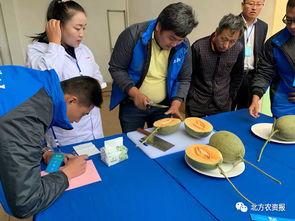 吃瓜群众的小时候图片,那些年我们一起“吃瓜”的日子