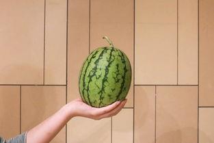 红玉吃瓜黑金,揭秘黑金背后的秘密