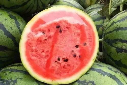 现在还怎么吃瓜,揭秘当下热门吃瓜指南