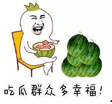 愉快的吃瓜,一场愉快的吃瓜盛宴