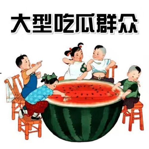 摸鱼吃瓜不抓瞎