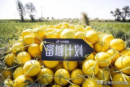 抖音vc吃瓜,揭秘娱乐圈幕后真相